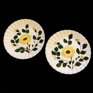 Blue Ridge - Southern Potteries, Inc. hand painted underglaze yellow & green VTG